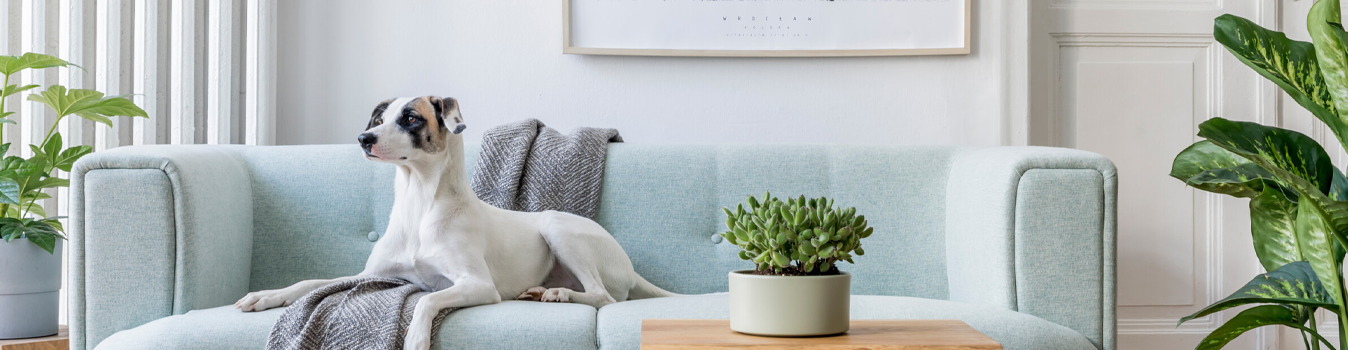 Budget-Friendly Home Decor Tips for a Stunning Makeover
