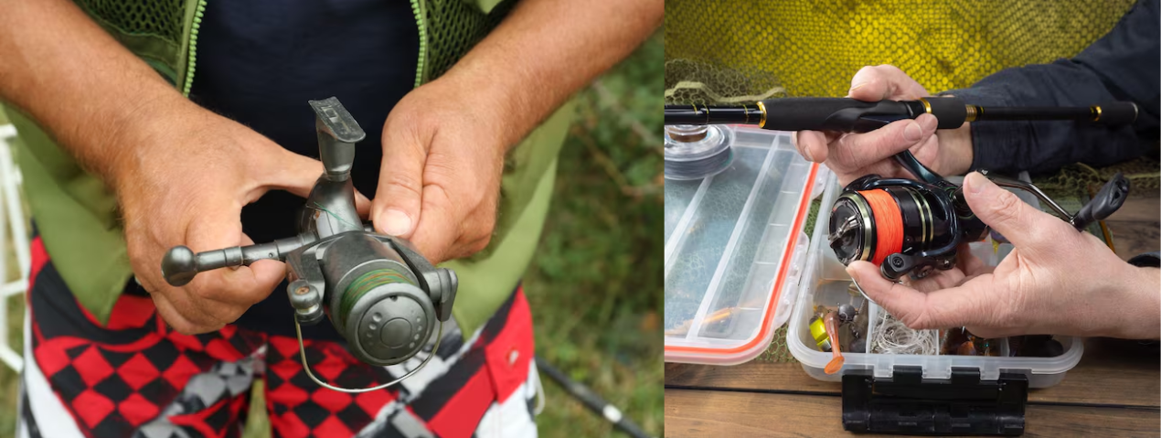 3 Fishing Reels Every Angler Needs: From Beginner to Pro