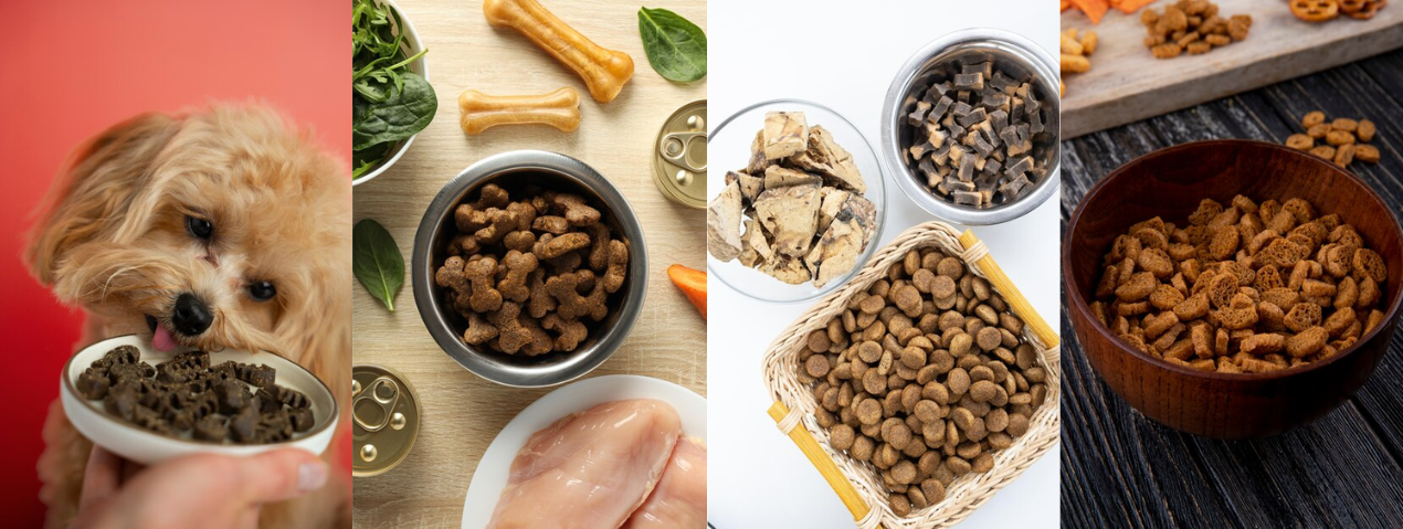 Open Farm Pet Food Guide: Premium Dog and Cat Nutrition for a Healthier Life