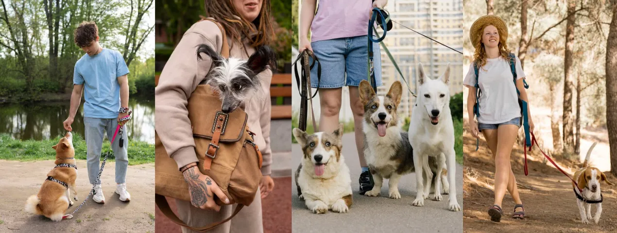 Best No-Pull Dog Harness for Comfortable Walks